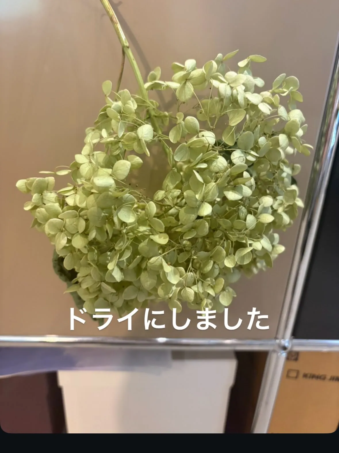 これから地獄のような猛暑のはじまり