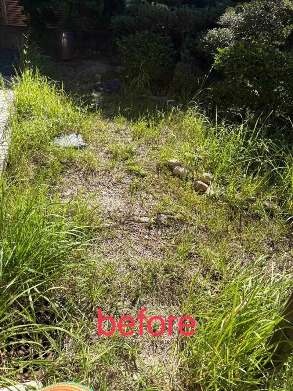 毎年この時期にお伺いしているお宅に草取りに行ってきました🌱