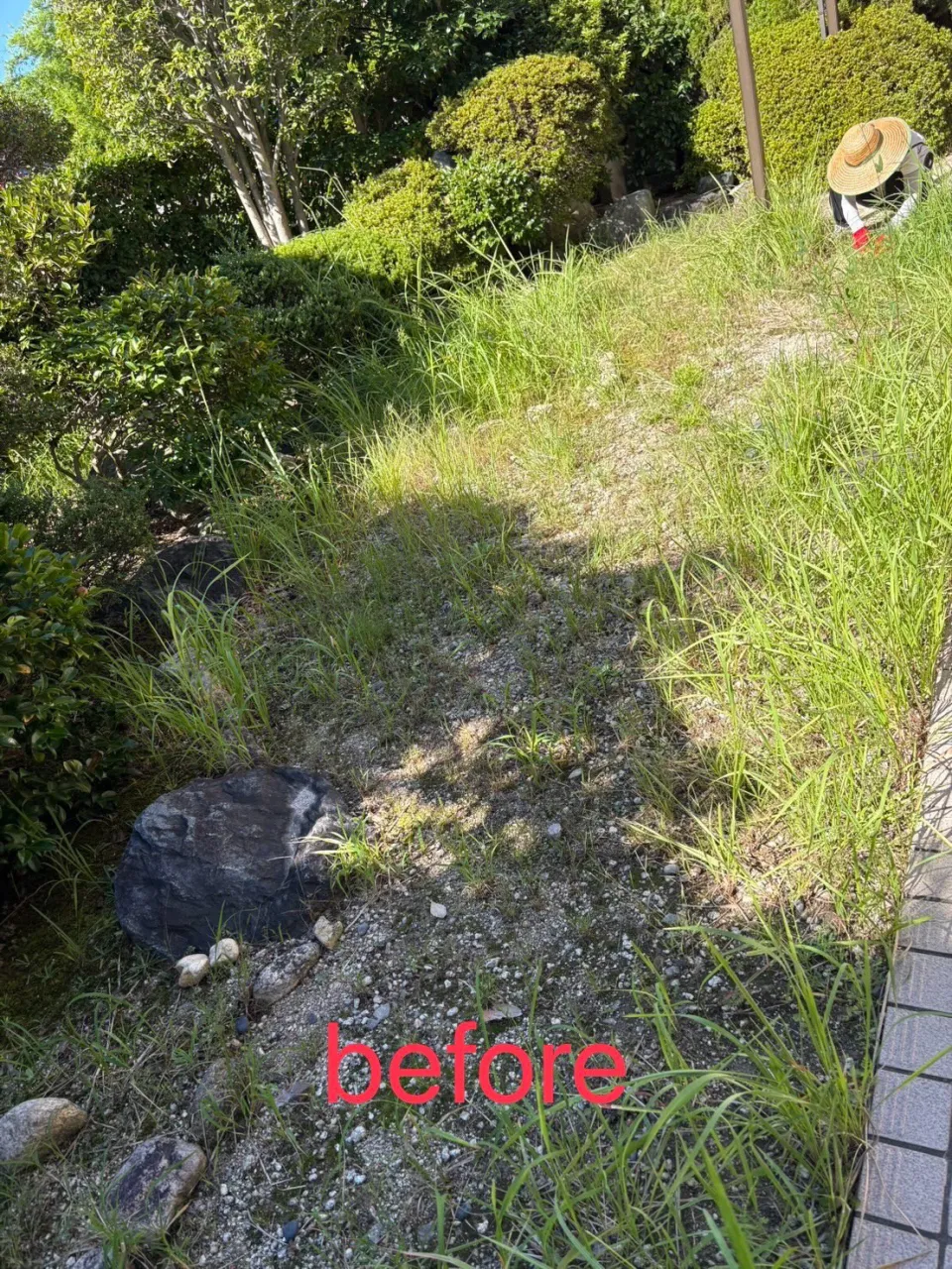 毎年この時期にお伺いしているお宅に草取りに行ってきました🌱
