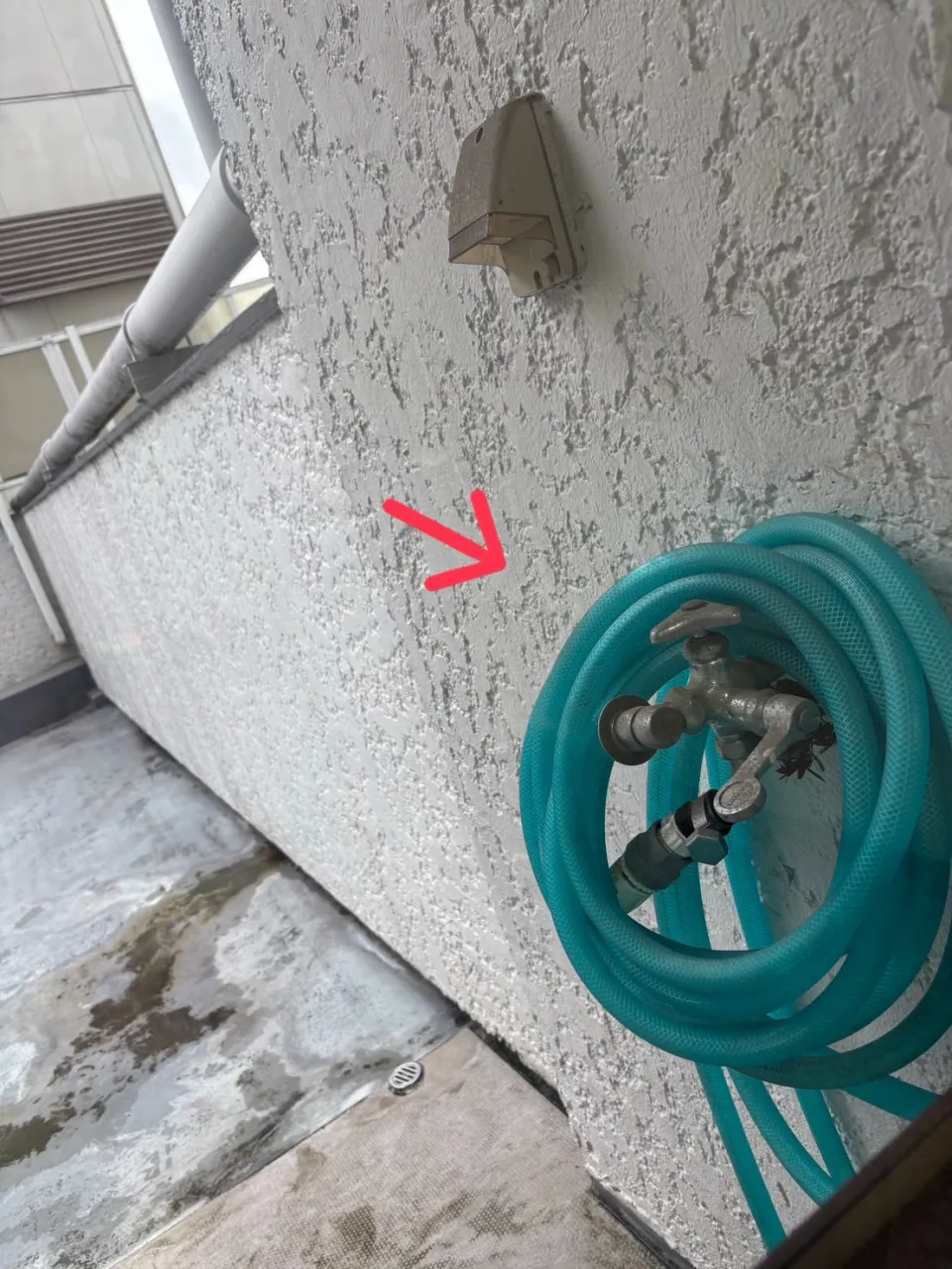 こんなところにに蜂の巣が‼️