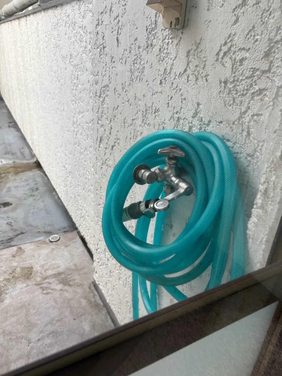 こんなところにに蜂の巣が‼️